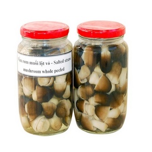 LOW PRICE DRUM STRAW MUSHROOM IN BRINE - Ms. Esther (WhatsApp: +84 963590549)