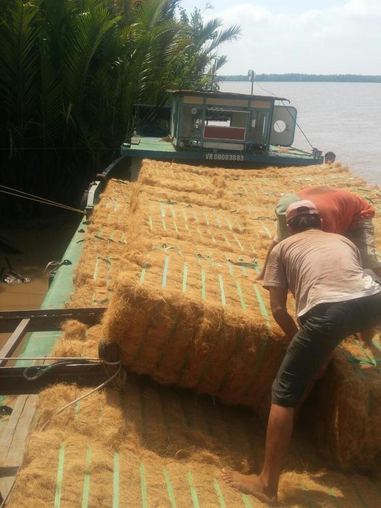 Coconut fiber roll / Coconut coir fiber