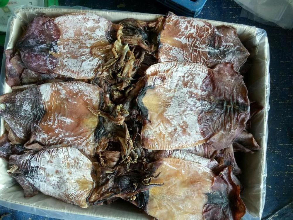 Dried Black Squid at Cheap Price from Vietnam - Ms. Esther (WhatsApp: +84963590549)