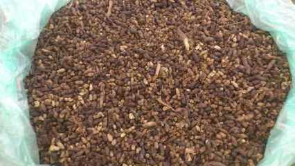 BAT GUANO FERTILIZER (Whatsapp: +84 845 639 639) in 2020