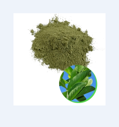 NATURAL GUAVA LEAF POWDER FROM VIETNAM/MS.LAURA +84 896611913