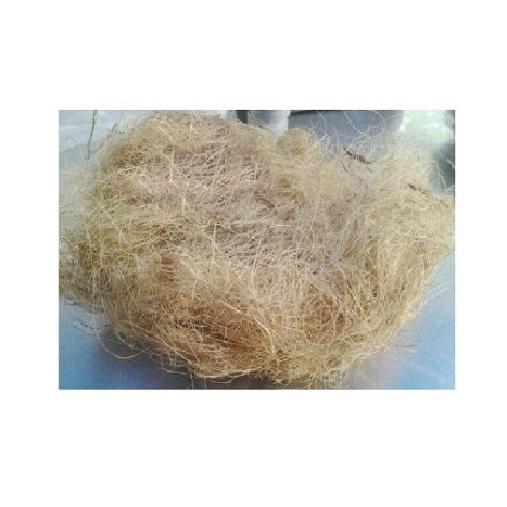 100 % NATURAL COCONUT FIBER FOR SALE with best price and quality