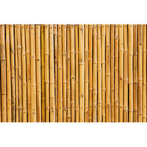 Bamboo fence panels/Rolled bamboo screen (whatsapp +84 845 639 639)