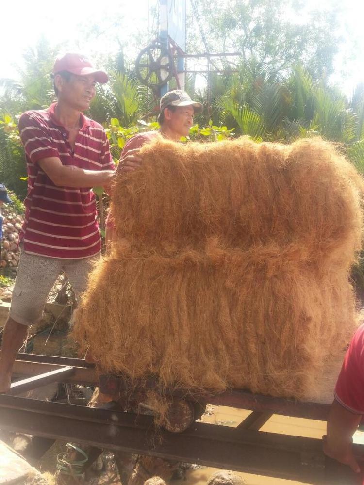 Viet Nam supply bulk coconut fiber cheap price for farm +84 707 750 653