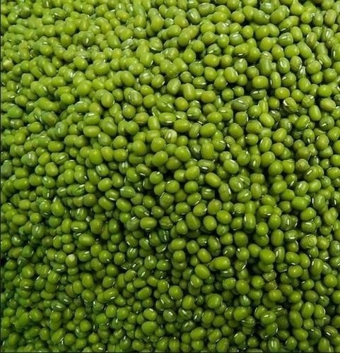 Dried Agriculture Bean Product Green Mung Beans In Bulk / Green Mung Bean From Vietnam // WhatsApp: +84 918509071