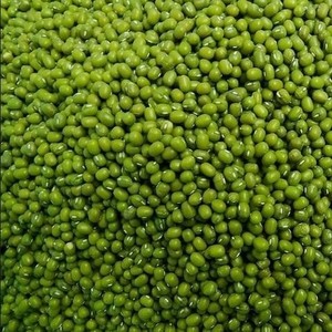 Dried Agriculture Bean Product Green Mung Beans In Bulk / Green Mung Bean From Vietnam // WhatsApp: +84 918509071