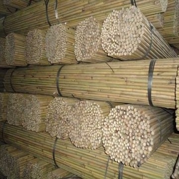 Best price 2021 bamboo poles from vietnam / Whatsapp: +84-845-639-639