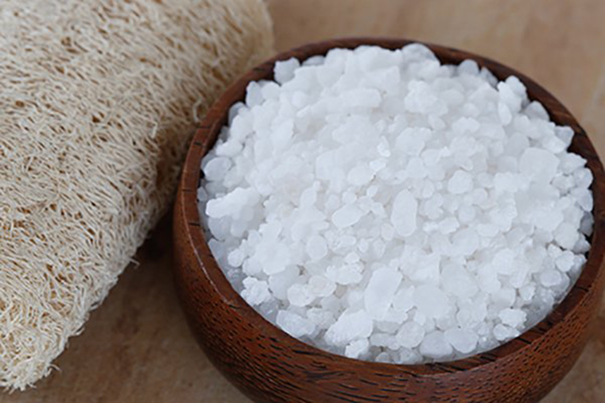 Prices of sea salt per ton / Bulk rock salt