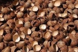 VIET NAM COCONUT SHELL VERY CHEAP PRICE ( +84988332914)