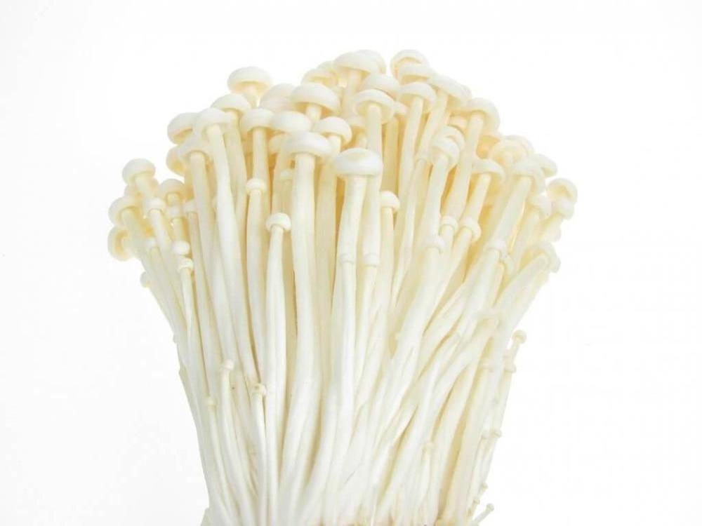 Fresh 100% Mushroom Enoki Vietnam Seller/High quality and best price - Ms. Esther (WhatsApp: +84 963590549)