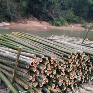 come from viet nam :bamboo poles_high quality / Whatsapp: +84 845 -639-639