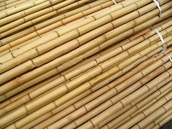 BAMBOO POLES FROM VIETNAM