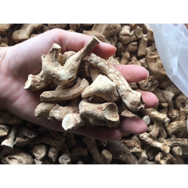 VIETNAMESE ORGANIC SHIITAKE MUSHROOM FUNGUS STEM- 10/10 POINTS FOR HIGH QUALITY