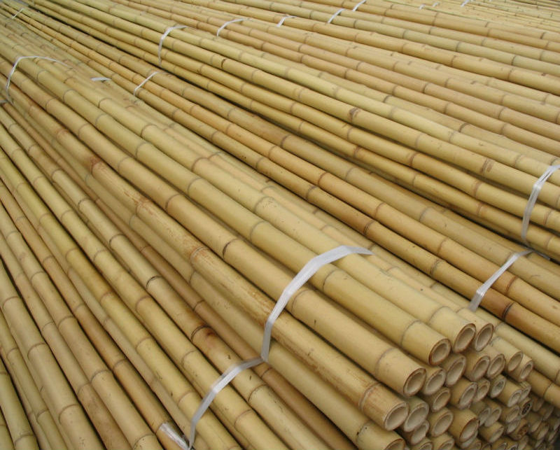 STRAIGHT MOSO BEAUTIFUL RAW BAMBOO POLES (WHATSAPP +84 845 639 639)