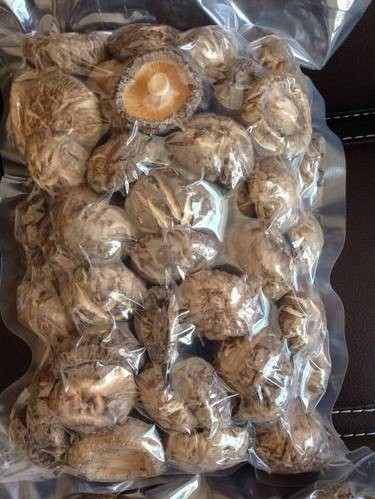 Organic Dried Shiitake Mushroom High Quality