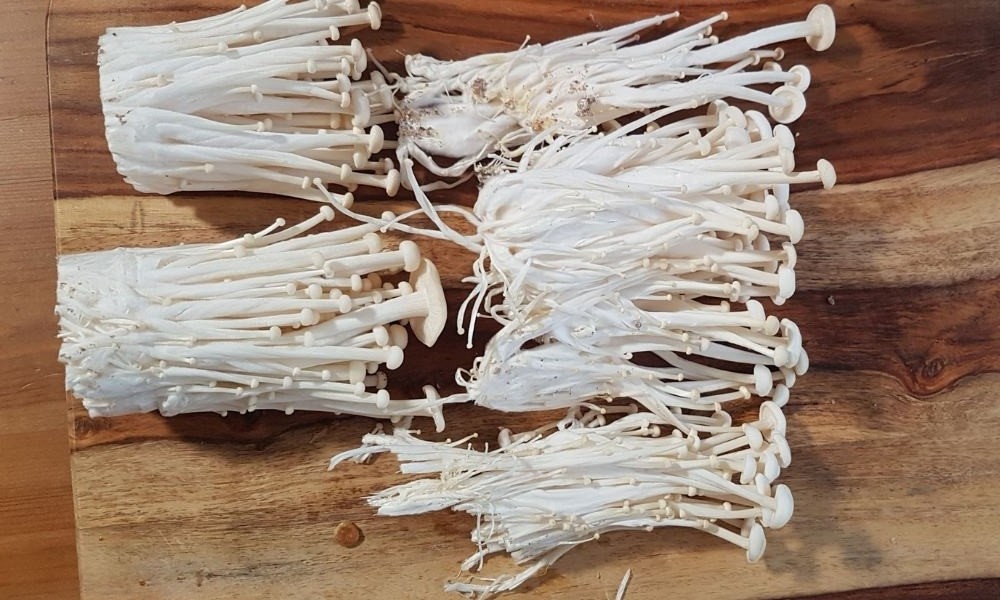 Hot Sale Mushroom Fresh Enoki From Vietnam/High Quality - Ms. Esther  (WhatsApp: +84 963590549)