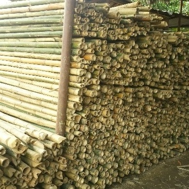 Best price 2021 bamboo poles from vietnam / Whatsapp: +84-845-639-639