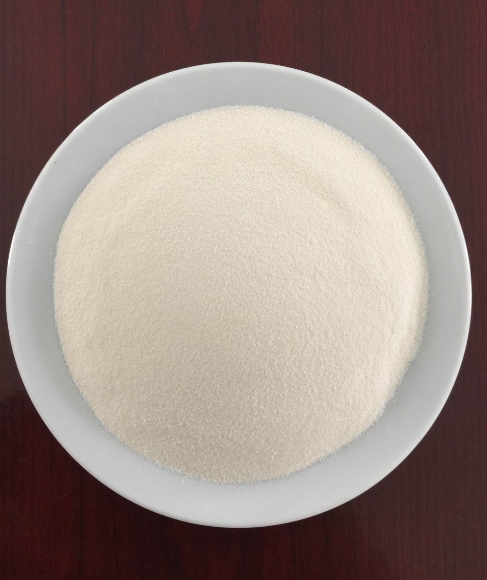 Food grade agar/  high quality agar powder/  Holiday