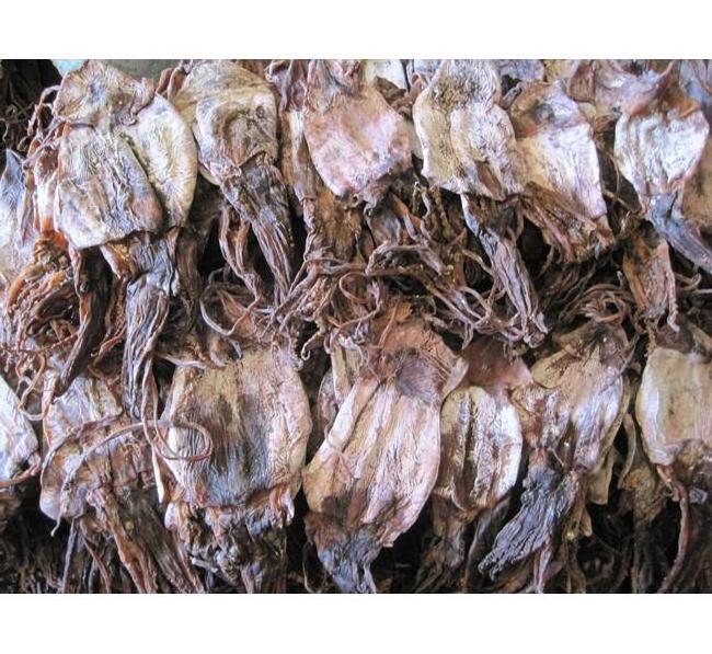 DRIED BLACK SQUID FROM VIETNAM - CHEAP PRICE/ WhatsApp // Ms. Jennie