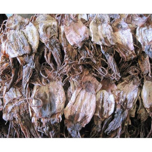 DRIED BLACK SQUID FROM VIETNAM - CHEAP PRICE/ WhatsApp // Ms. Jennie