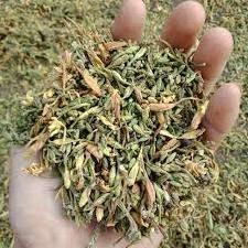 Special dried Telosma cordata Now! / +84-845-639-639 (Whatsapp)