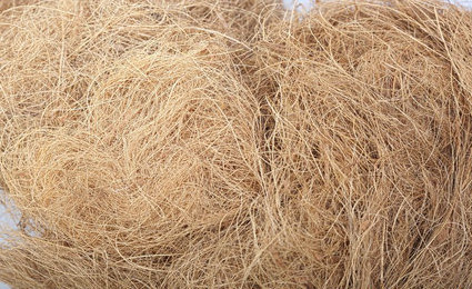 100 % NATURAL COCONUT FIBER FOR SALE with best price and quality