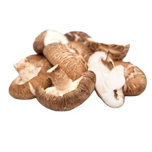 Organic Dried Shiitake Mushroom High Quality