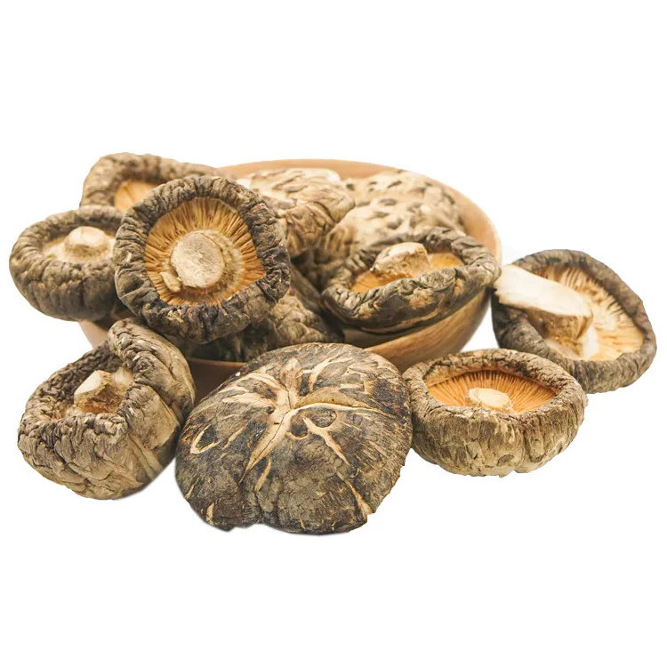 Organic Dried Shiitake Mushroom High Quality