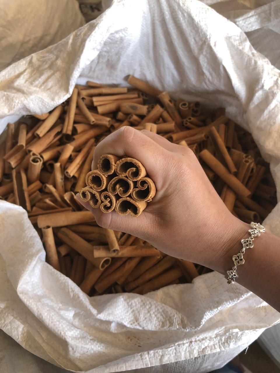 Top best selling CINNAMON STICKS from Vietnam/Ceylon Cinnamon Good Spice with 24 Months Using Large Quantities