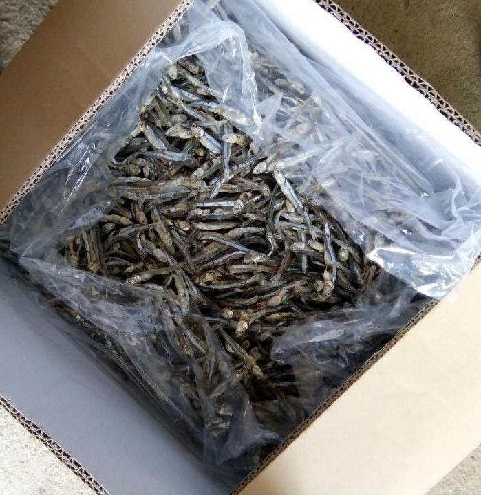 Vietnam No Preservatives Dried Anchovy - Dried Small Sprat - Ms. Esther (WhatsApp: +84 963590549).