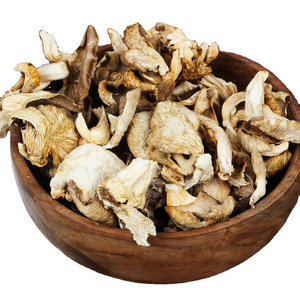 High Quality Raw Dried Oyster Mushrooms 100% Natural Wild-Picked from VIET DELTA Best Price WhatsApp +84 91 850 9071