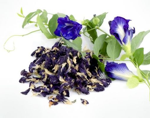 THE BEST PRICE DRIED BUTTERFLY PEA FLOWERS