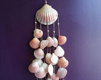 Diverse natural Raw material seashell/ Scallop Shell // best choice for decoration // ( Neal +84 876 398 017)