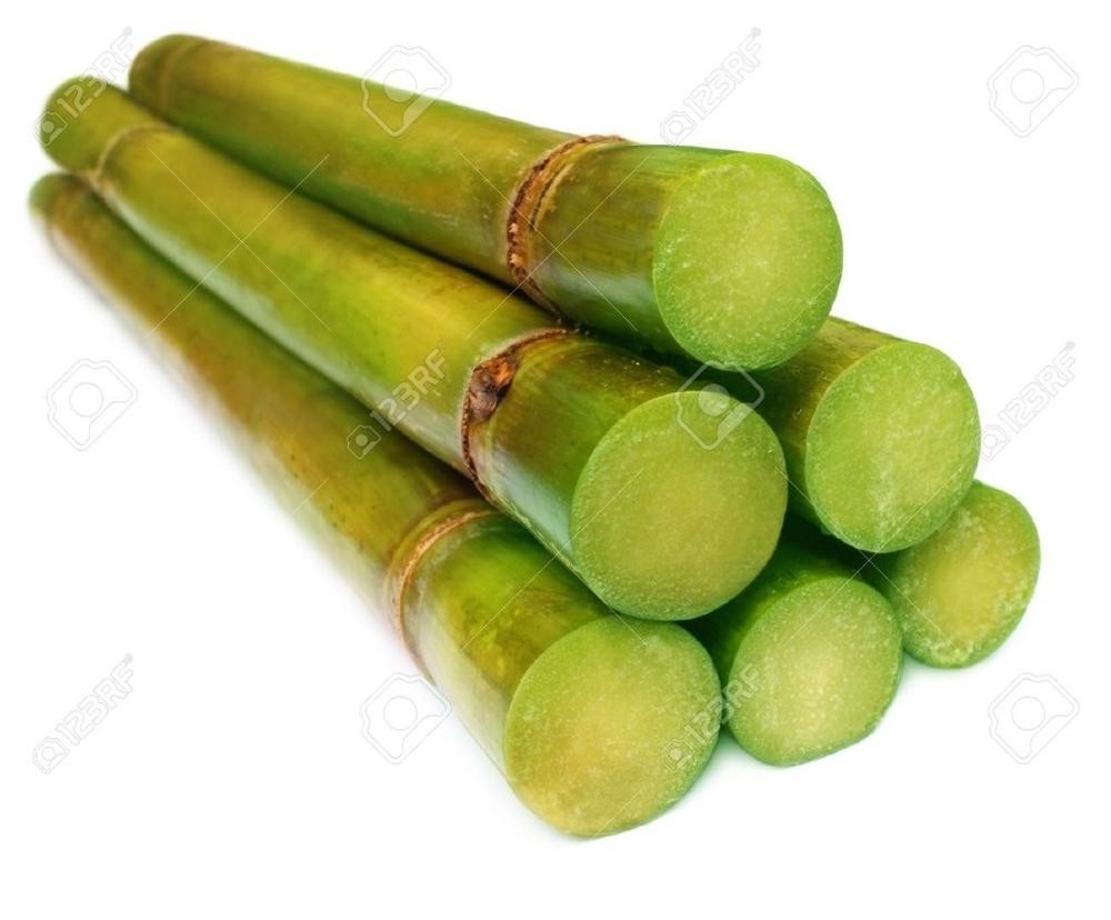 HIGH QUALITY FROZEN SUGAR CANE WITH THE BEST PRICE / WHATSAPP: +84 - 979558557