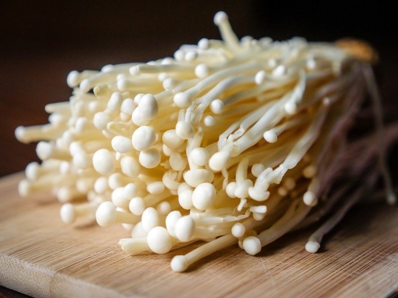 Hot Sale Mushroom Fresh Enoki From Vietnam/High Quality - Ms. Esther  (WhatsApp: +84 963590549)