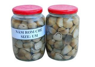 Best price canned mushroom for sales