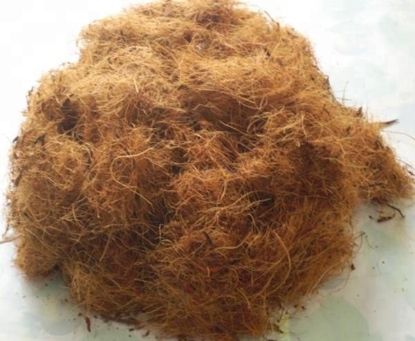 Cheapest price Coconut fiber/ Coconut coir fiber price 2020 +84 845 639 639