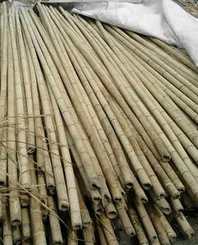 BAMBOO POLES FROM VIETNAM