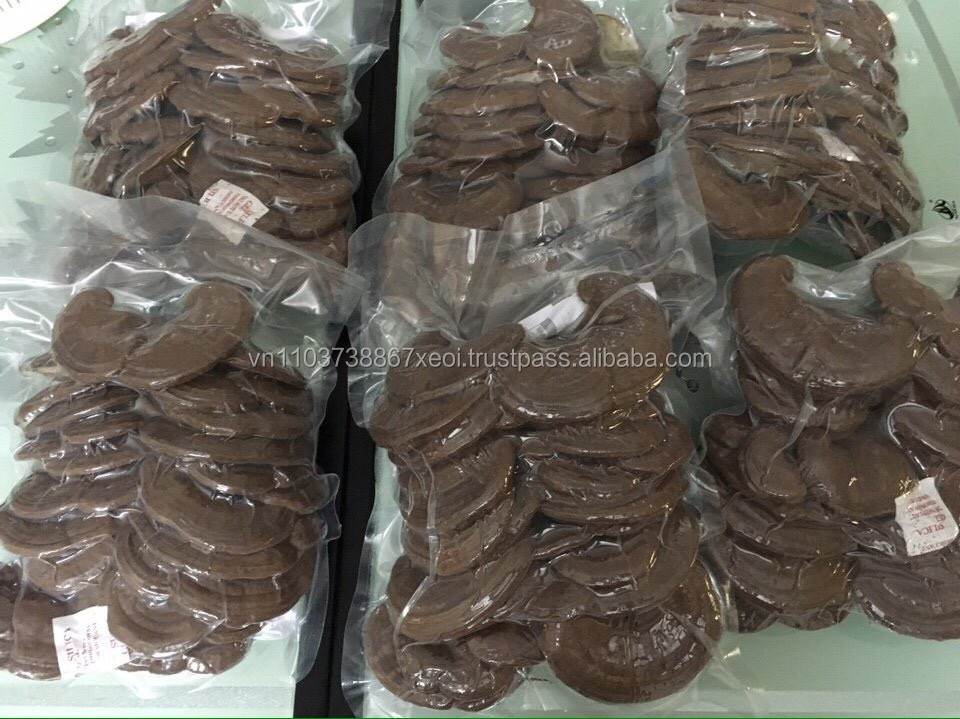 REISHI MUSHROOM - WHOLE MUSHROOM - BEST QUALITY VIETNAM - Ms. Esther (WhatsApp: +84 963590549)