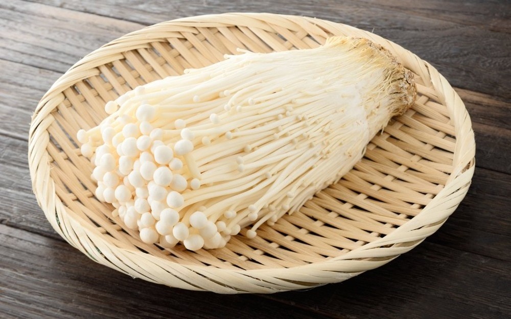 Hot Sale Mushroom Fresh Enoki From Vietnam/High Quality - Ms. Esther  (WhatsApp: +84 963590549)