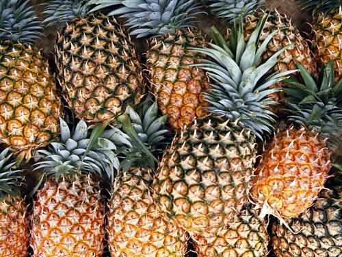 Pineapple in tin/canned pineapple (tidbits/cubes/crushed/slices pineapple)