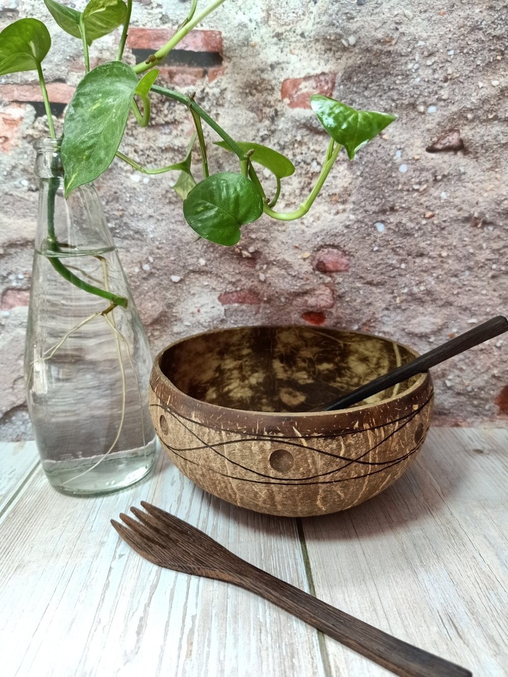 Vietbay Crafts 5 Inches Coconut Shell Bowls Coconut Bowls Coconut Shell Bowls Made by Hand from Vietnam