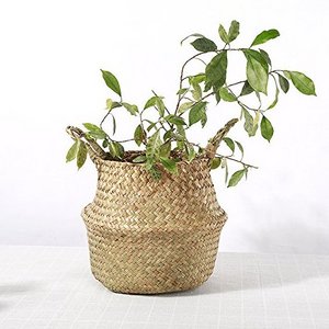 Natural Wicker Storage Basket Belly Basket for Home Decoration Woven Straw Basket