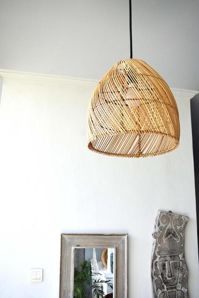 Hot Trend Ceiling Light Eco Friendly Material Bamboo Rattan Lamp Shade Family Home Decoration Light Fixture and Cover