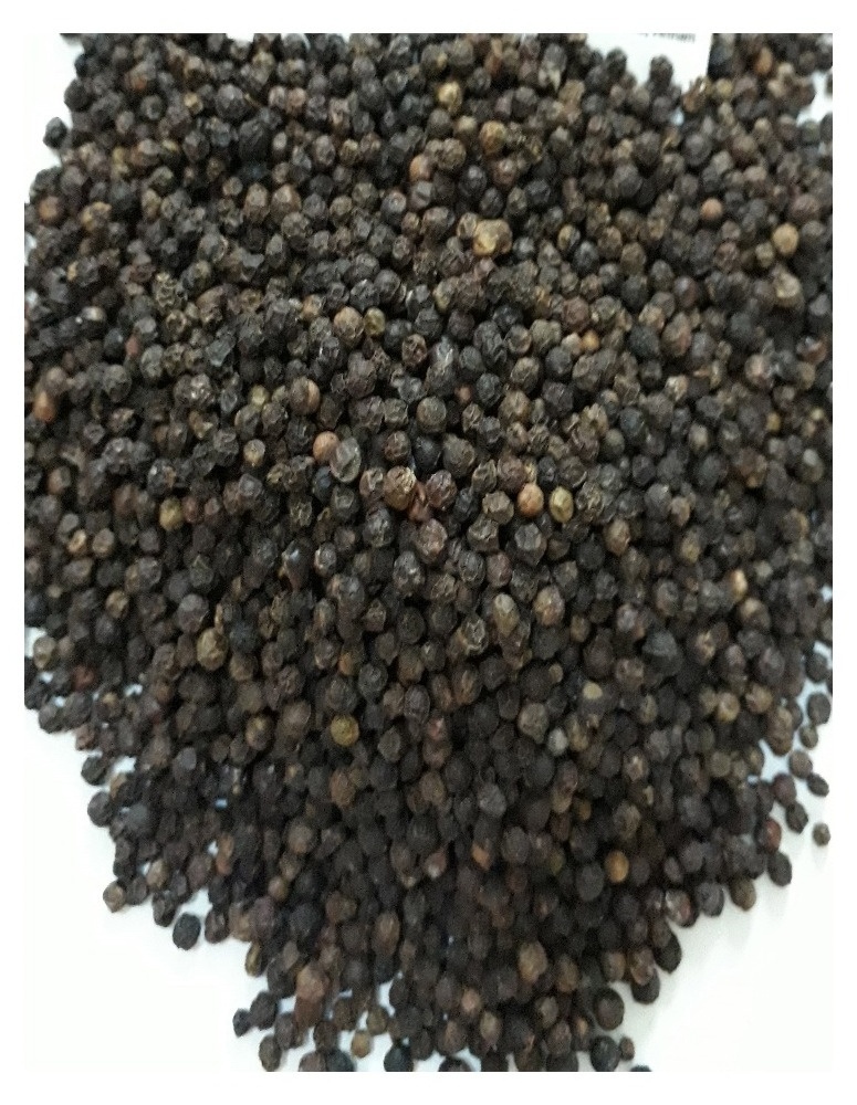 UNCLEAN BLACK PEPPER 500 GPL, VIETNAM ORIGIN, GOOD QUALITY,, BEST PRICE USED  AS SPICES FOR FOOD & HEALTHY INDUSTRY