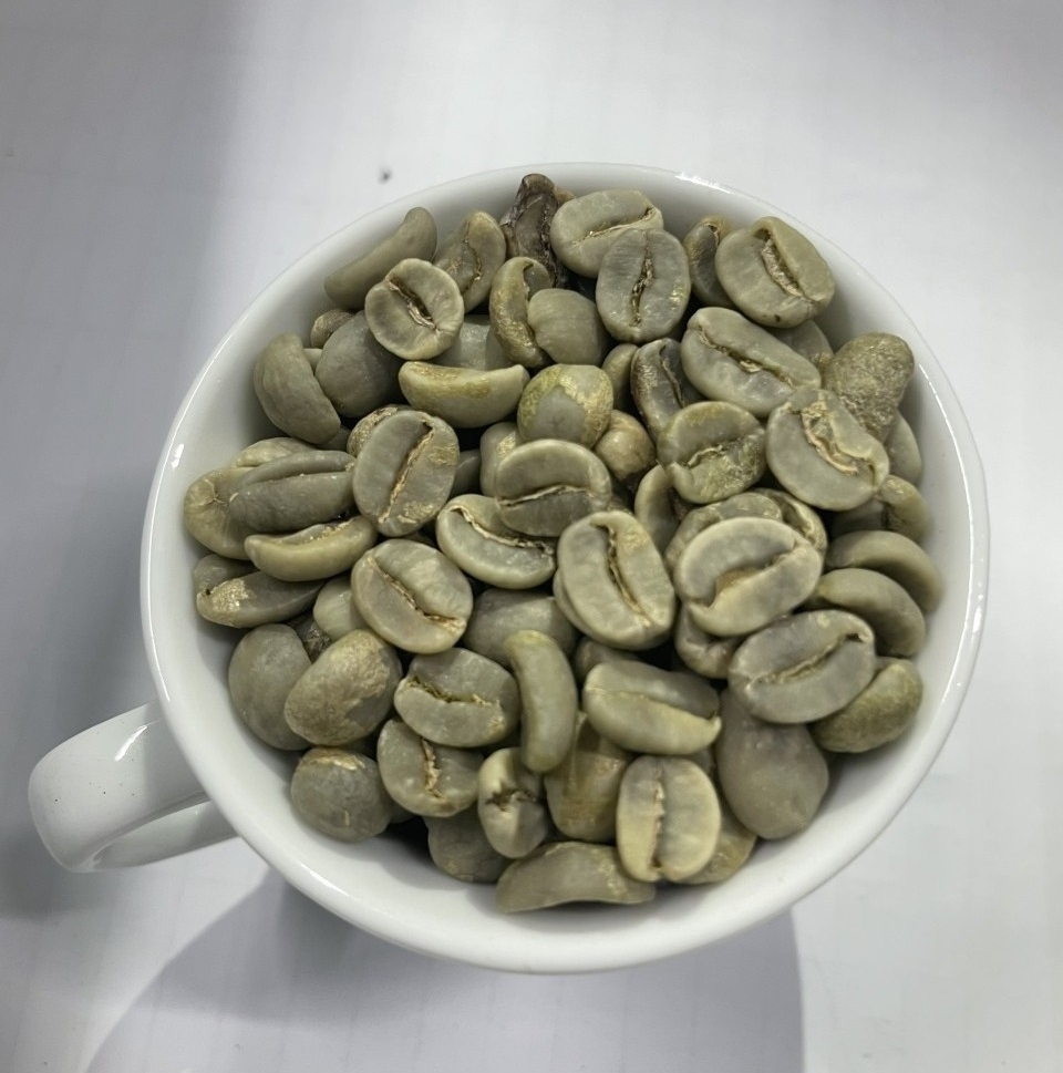 VIETNAM ROBUSTA COFFEE BEAN SCR 13, 16, 18 100% Natural Arabica Coffee Bean Attractive Flavor Whole Sale Price -Anna Do +8498215