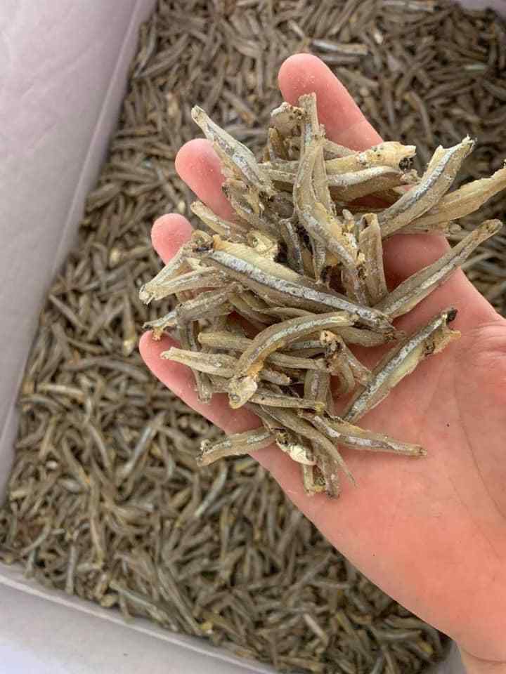 High quality best selling Dried Anchovy - Factory Direct From Vietnam - Export in bulk Dried Anchovies - ANNA DO W.A+84 98215305