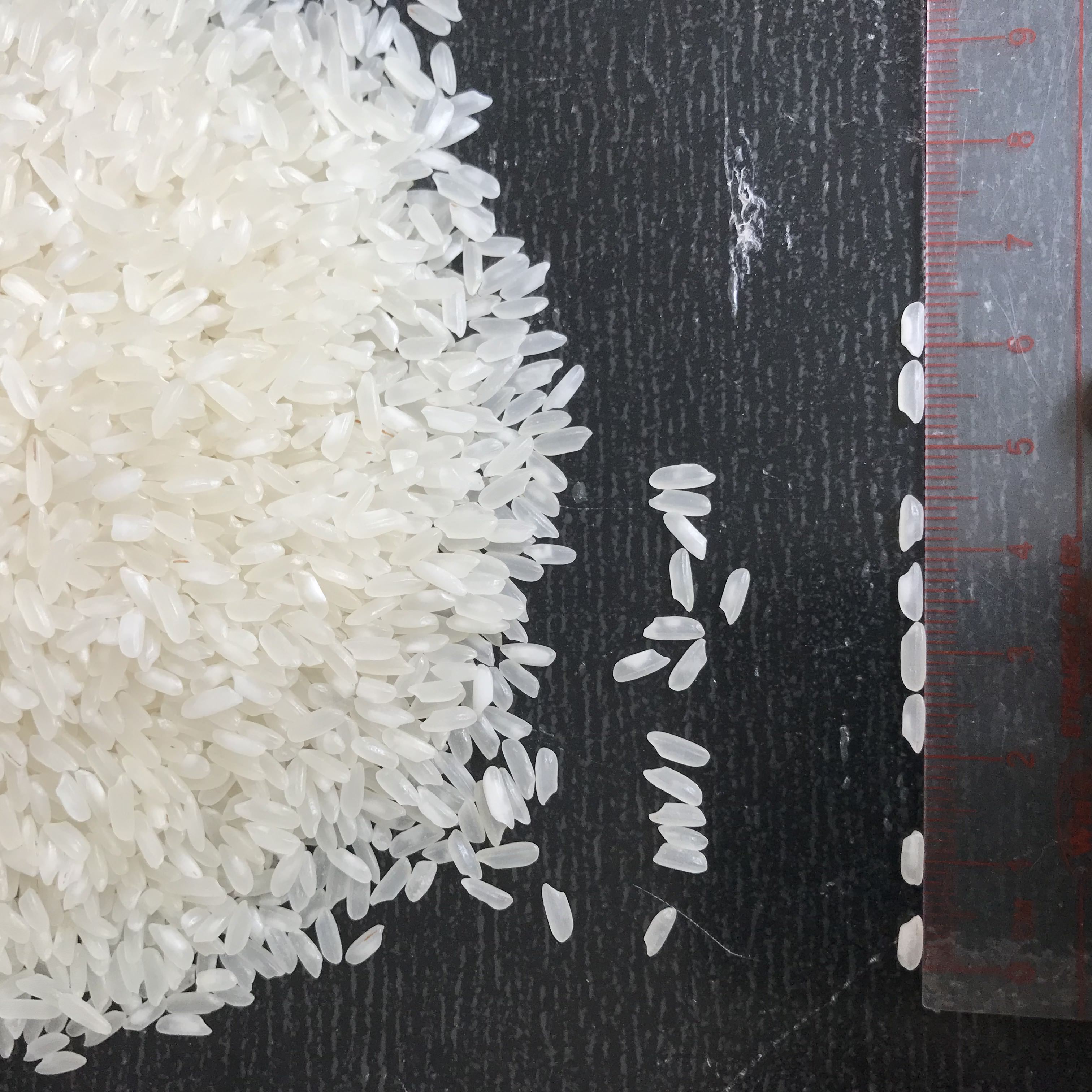 MEDIUM GRAIN WHITE RICE 5% BROKEN, VIETNAMESE RICE , HIGH QUALITY, REASONABLE PRICE - WA: 84917916369 (MS.TINA)