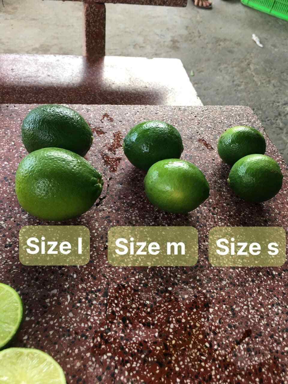 Natural Fresh Green Seedless Lime Premium quality Lemon from Vietnam with international standards and good for health - Anna Do