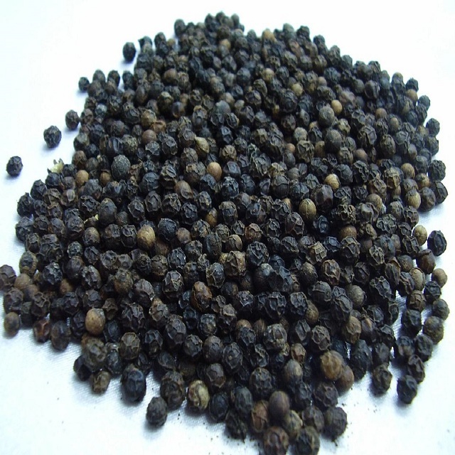 BLACK PEPPER 500/550/570/580 G/L MC & FAQ ASTA HIGH QUALITY BEST PRICE IN VIETNAM - ANNA DO - WA: +84982153058